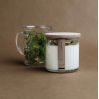 Soy wax candle -  - Moss