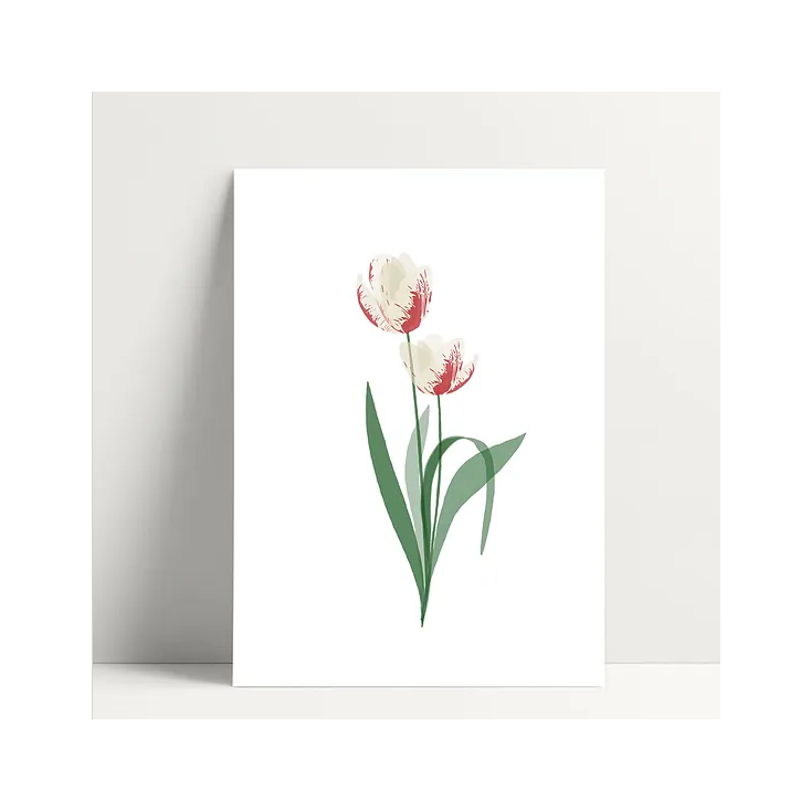 Carte simple - Tulipe blanche