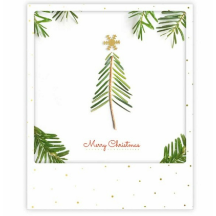 Carte postale - Merry Christmas Twig - XM0308EN