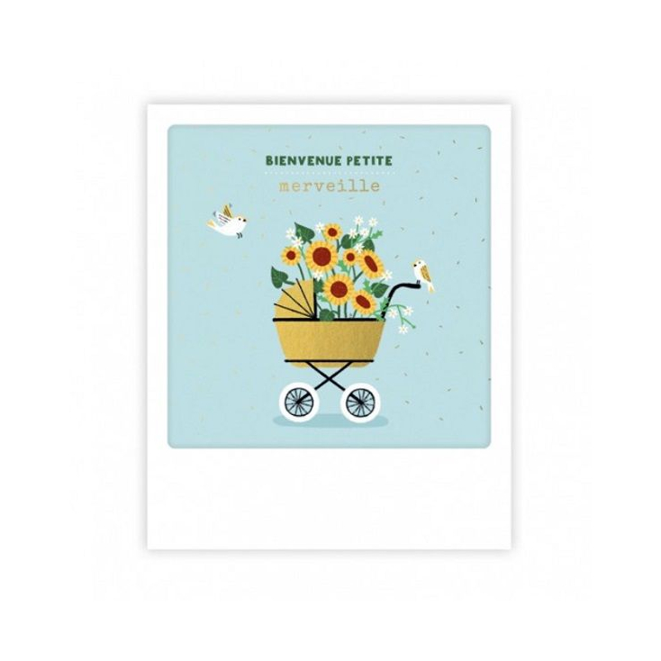 Mini carte - bienvenue petite merveille MP0723FR