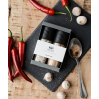 Gift box  Organic Secret blend & Salt, Garlic & Chilli