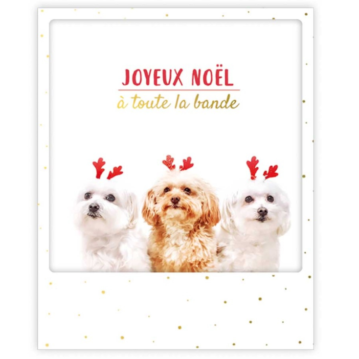 Carte postale Un doux et joyeux noel XM0210FR