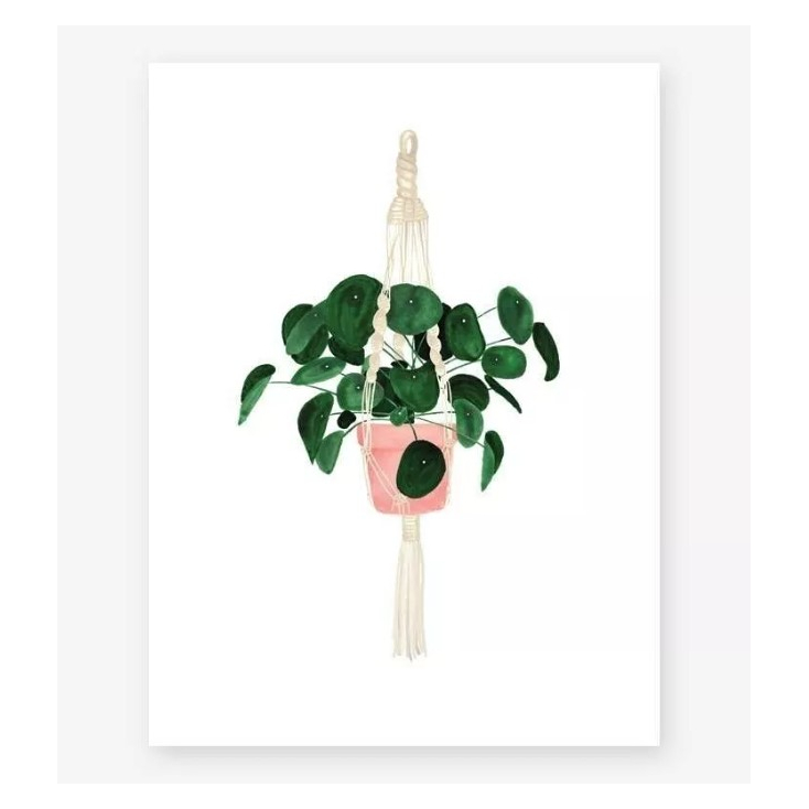 Affiche décorative - Small - Pilea - 18x24 cm