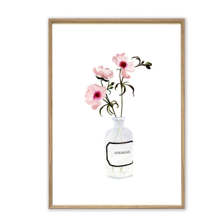 Affiche A3 Anemone Rose