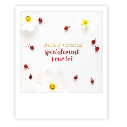 Carte postale - Un petit message - ZG1456FR