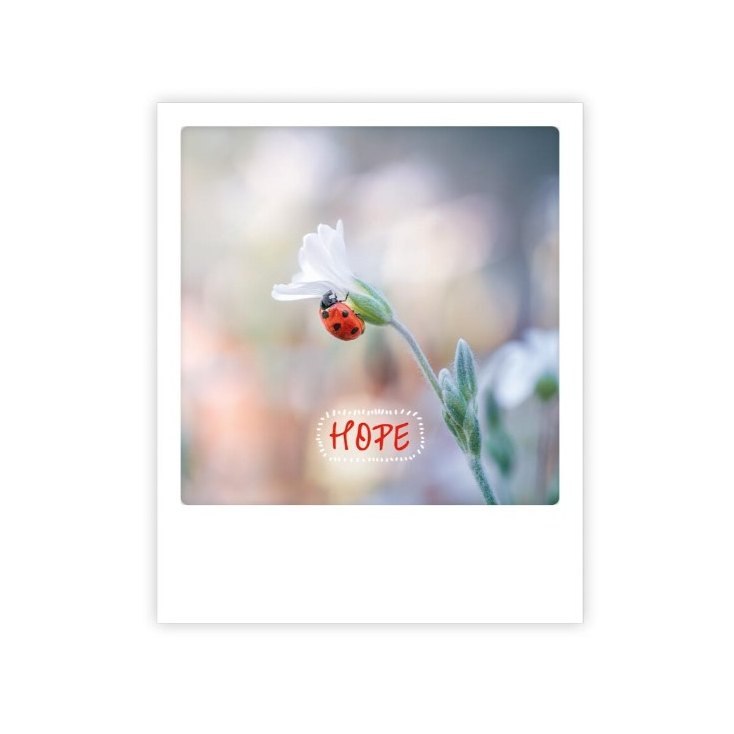 Carte postale Hope ZG0965EN