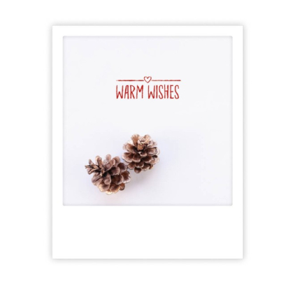 Carte postale Warm wishes pine cone XM0183EN