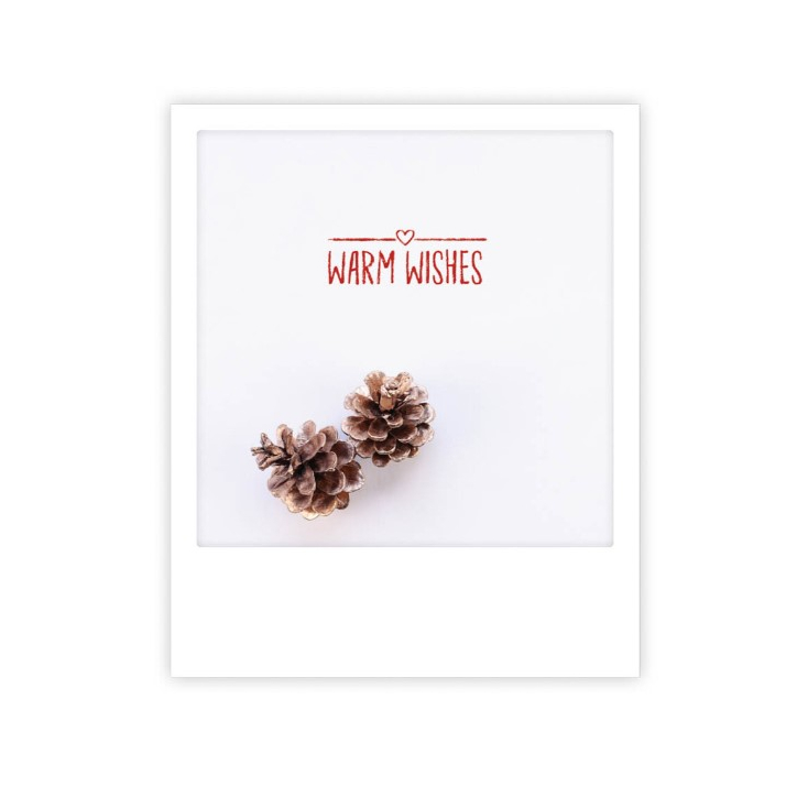 Carte postale Warm wishes pine cone XM0183EN